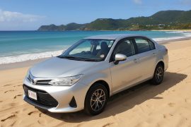 WhatsApp Image 2025-10-25 at 2.38.02 PM